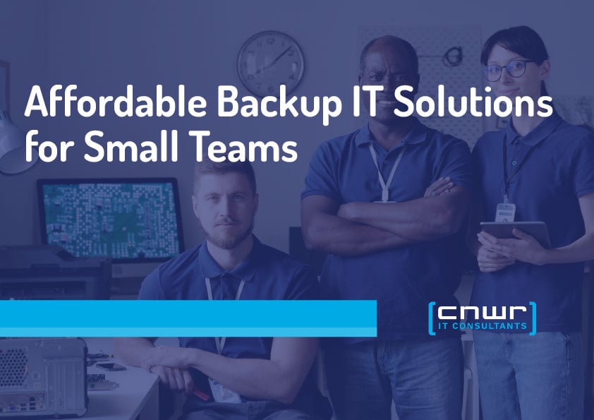 Affordable Backup IT Solutions for Small Teams