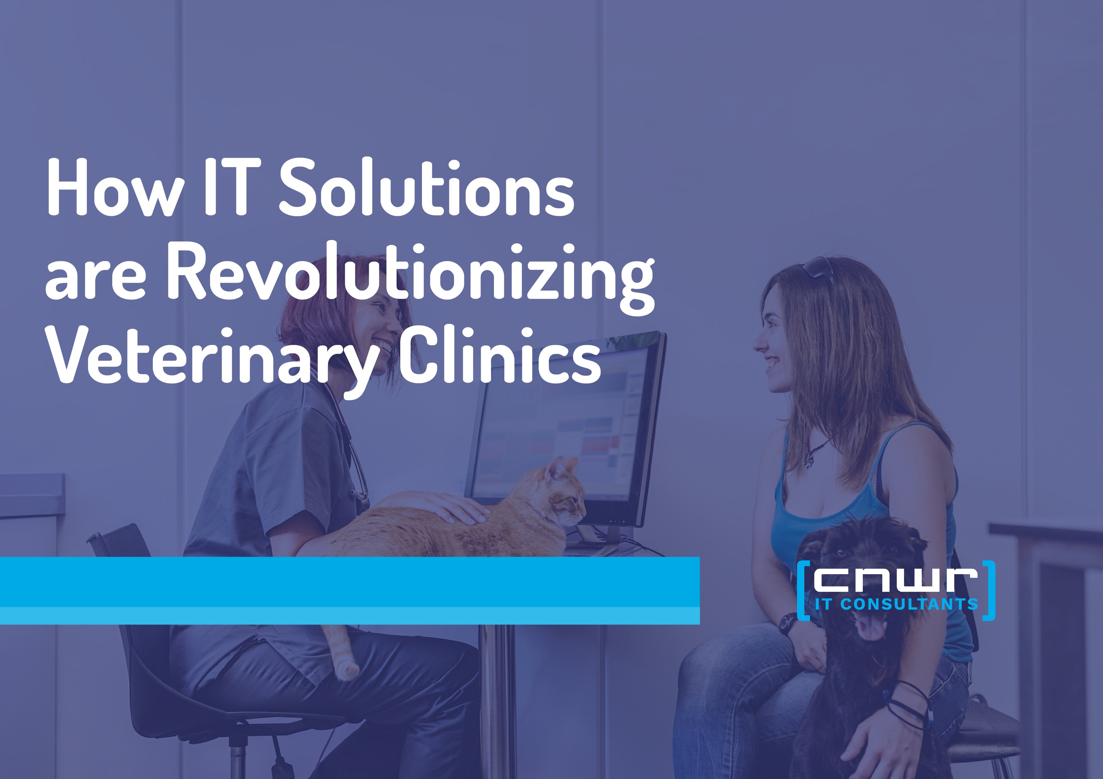 How IT Solutions are Revolutionizing Veterinary Clinics