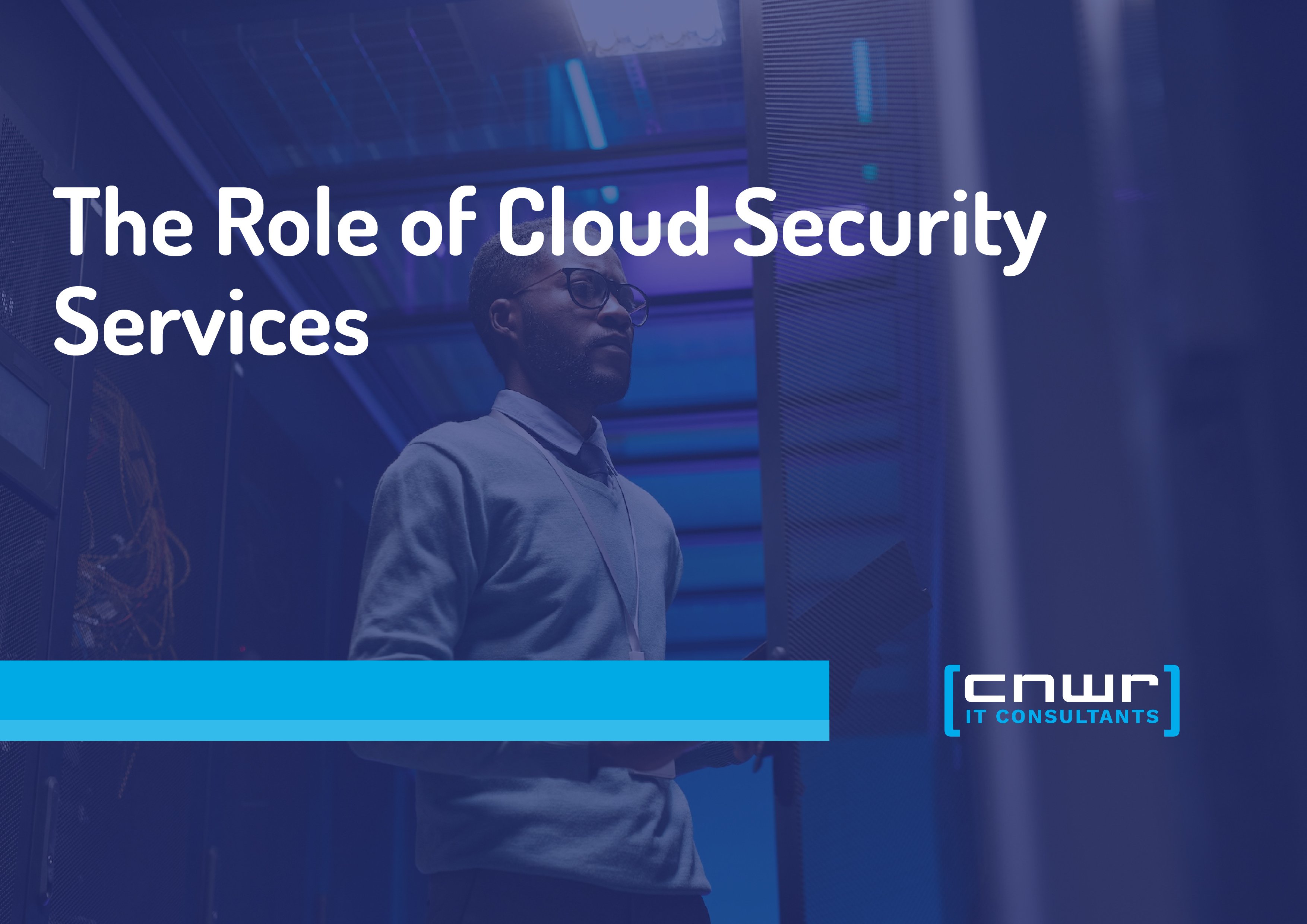 The Role of Cloud Security Services