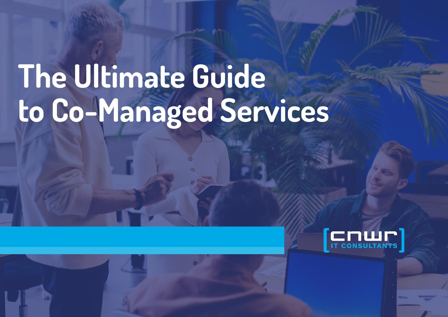 The Ultimate Guide to Co-Managed Services