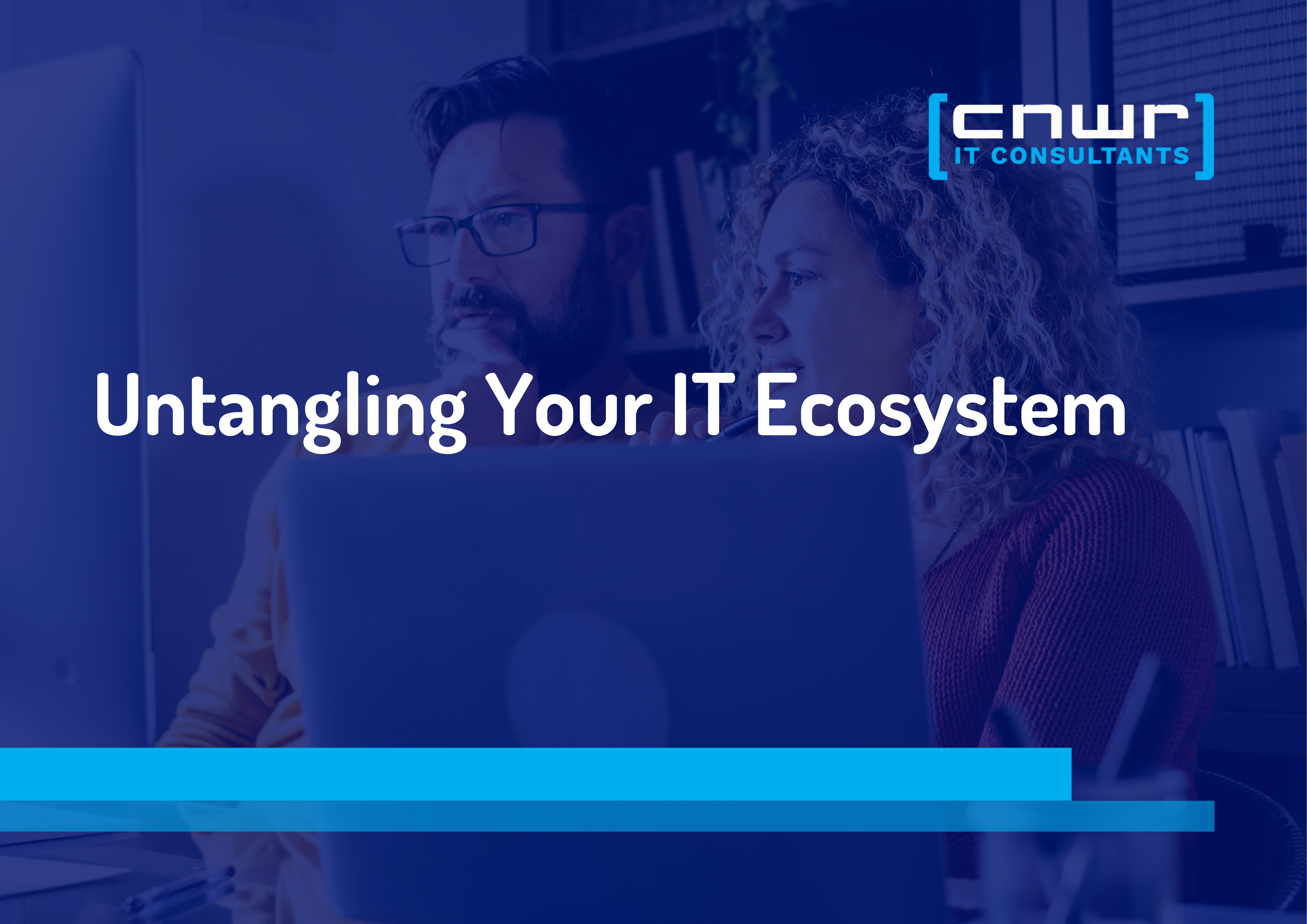 Untangling Your IT Ecosystem: A Sustainable Framework for Reliable Business Growth