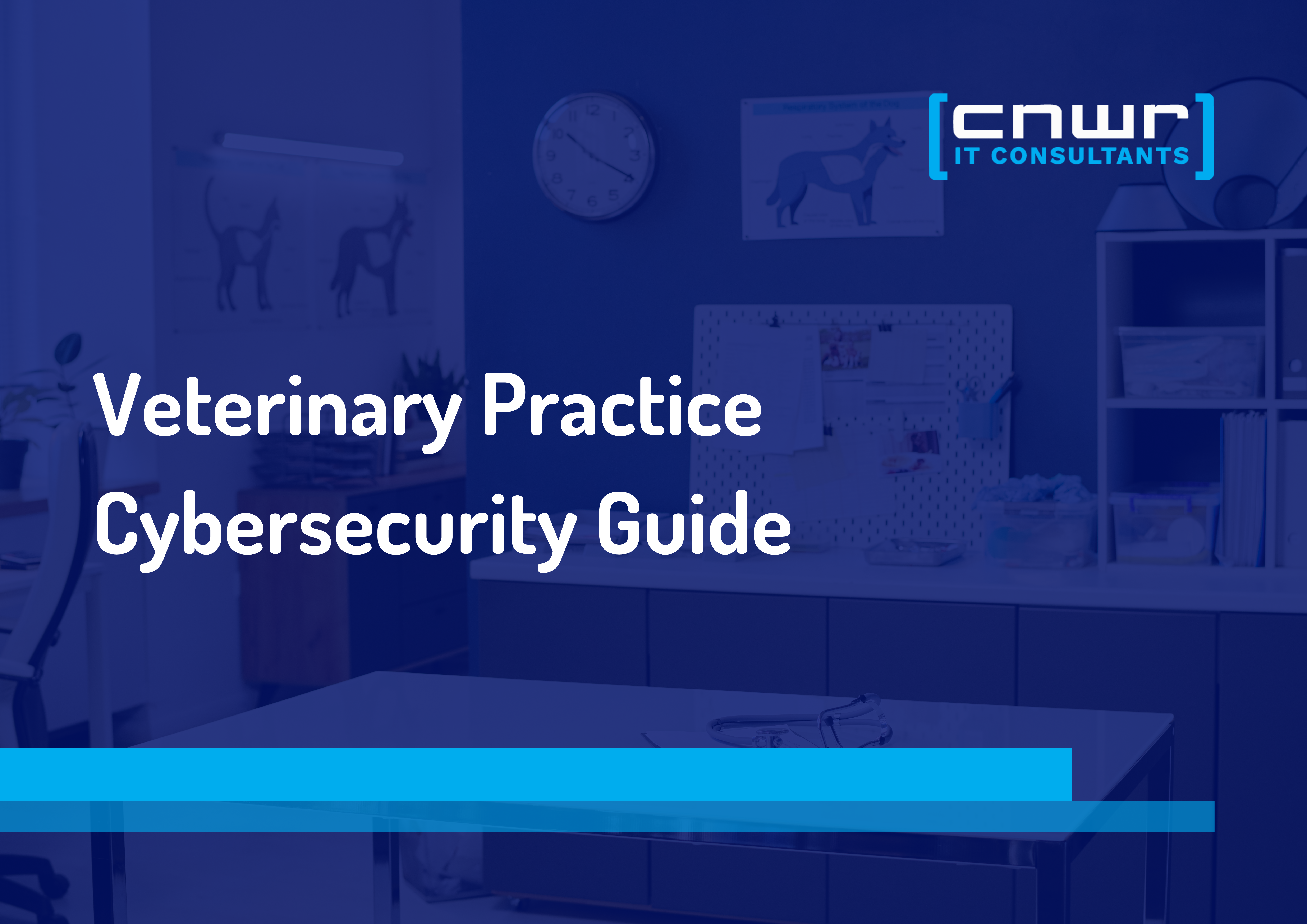 The Predator You Can't Vaccinate Against: Cybersecurity for Veterinary Practices
